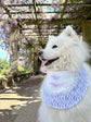 Purple Lavender Dog Bandana with bow