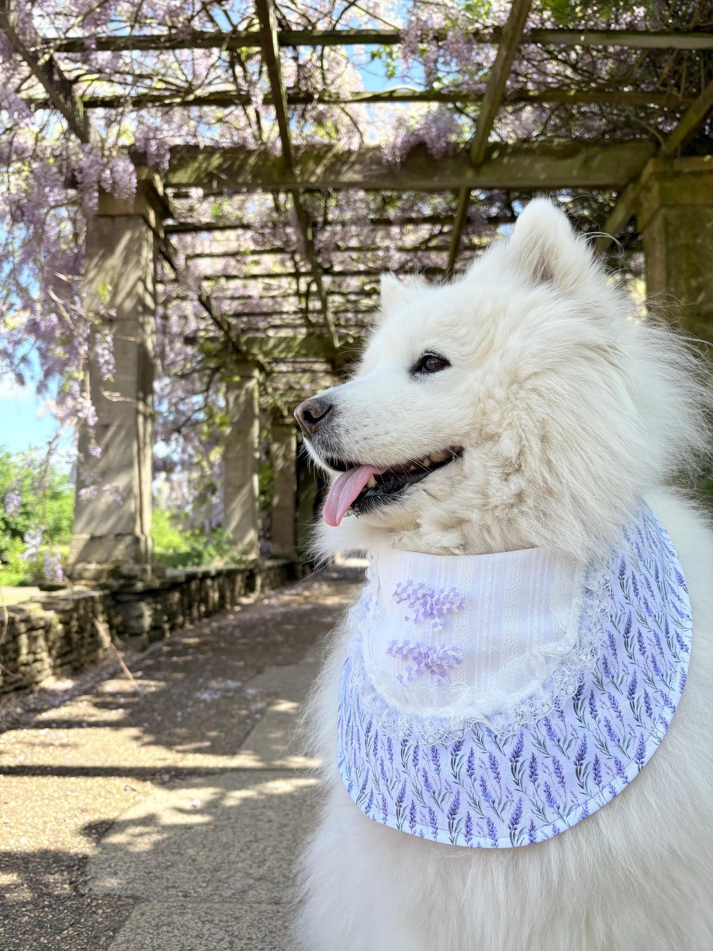 Purple Lavender Dog Bandana with bow
