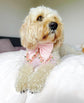 Pink Floral Dog Sailor Bow: Wedding Pet Accessory for Girl Pup