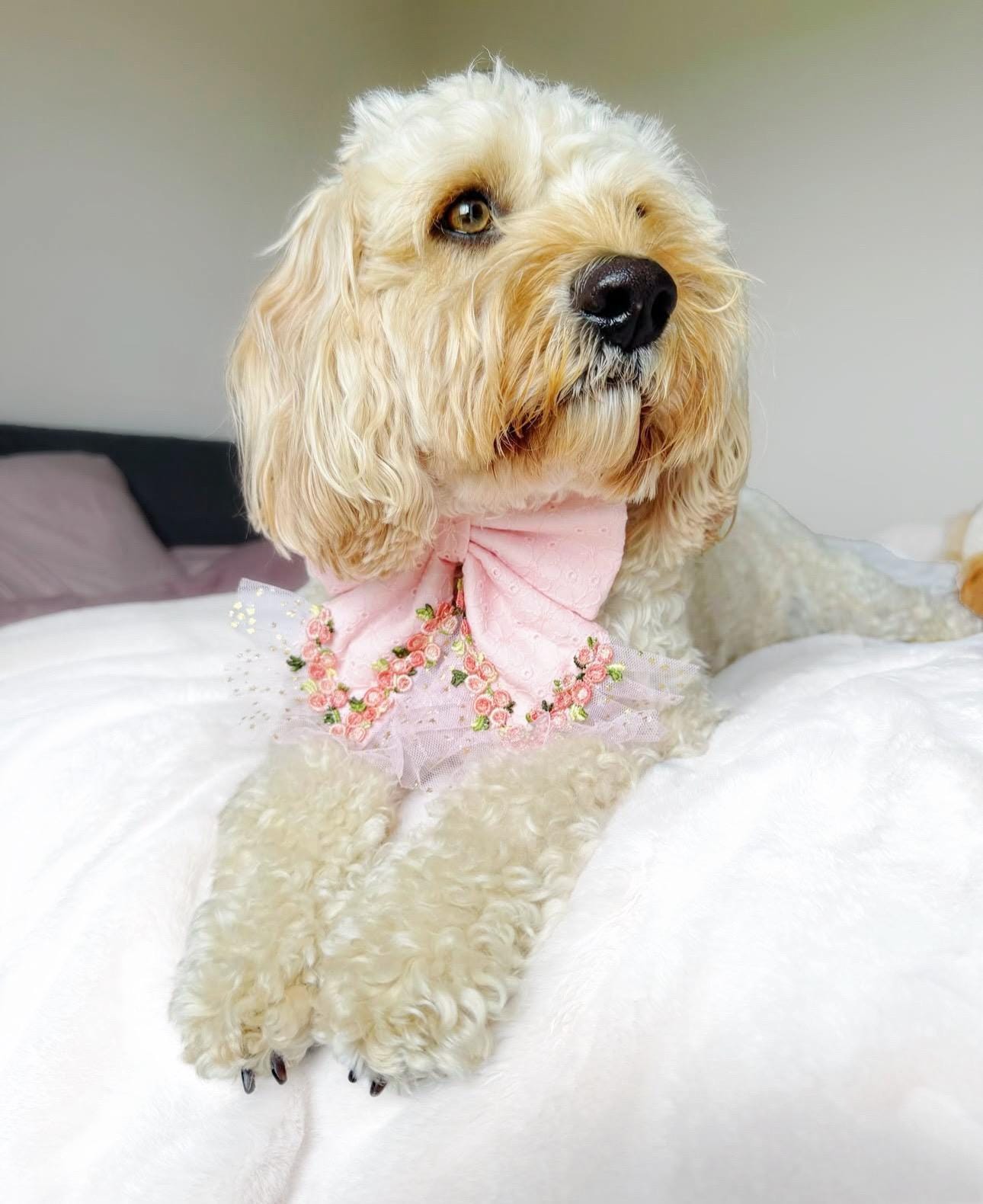 Pink Floral Dog Sailor Bow: Wedding Pet Accessory for Girl Pup