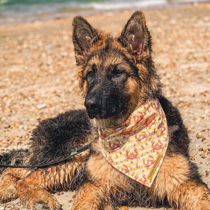 Yellow Summer Crabs Adjustable Dog bandana