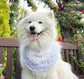 Purple Lavender Dog Bandana with bow