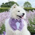 Lavender Purple Wedding Dog Tuxedo Bandana, Pet Ring Bearer Outfit