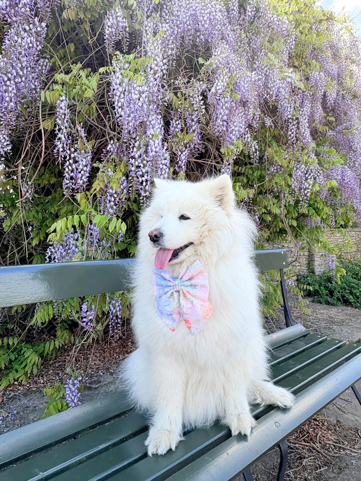 Summer Garden dog bow, Pastel Garden Dog Bow, available in sailor bow and bow tie styles, perfect for spring and summer