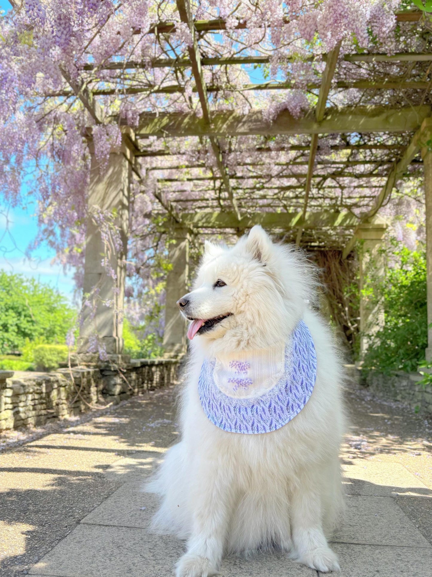 Purple Lavender Dog Bandana with bow
