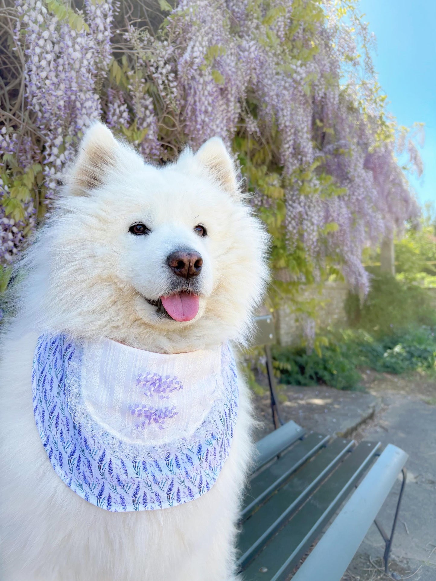 Purple Lavender Dog Bandana with bow