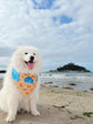 Crabs & Ocean Dog Bandana with Bowtie: Summer Beach Style