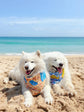 Crabs & Ocean Dog Bandana with Bowtie: Summer Beach Style
