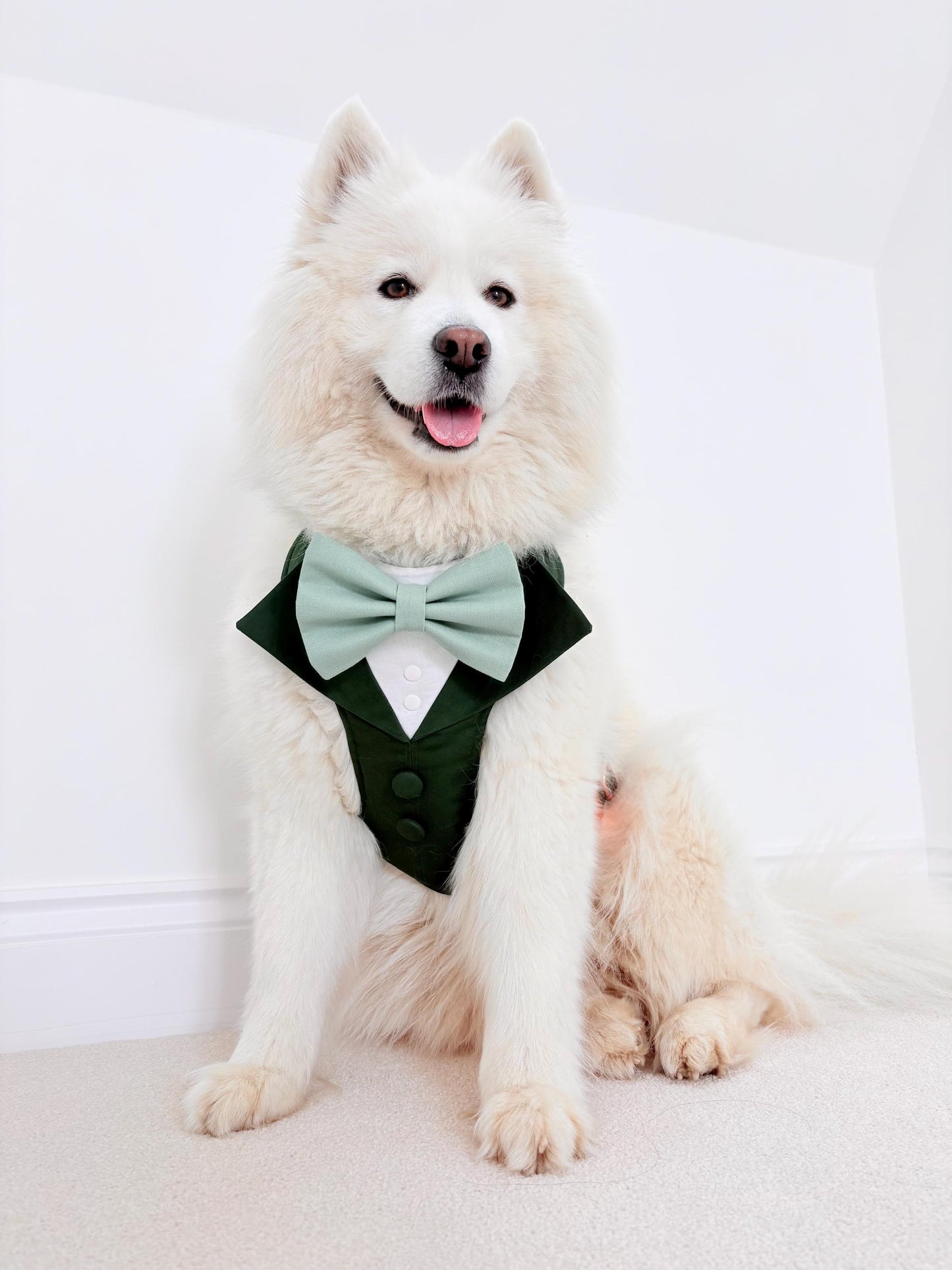 Bespoke Sage Green Wedding Suit for Dogs: Tuxedo Harness