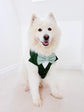 Made-to-measure Dark Purple Dog Tuxedo Harness: Ring Bearer Outfit for Pets