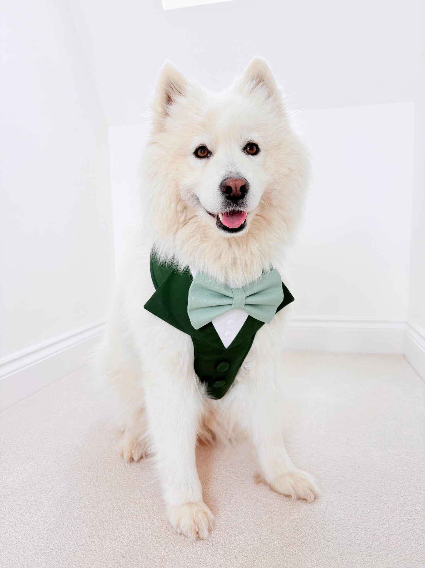 Made-to-measure Dark Purple Dog Tuxedo Harness: Ring Bearer Outfit for Pets
