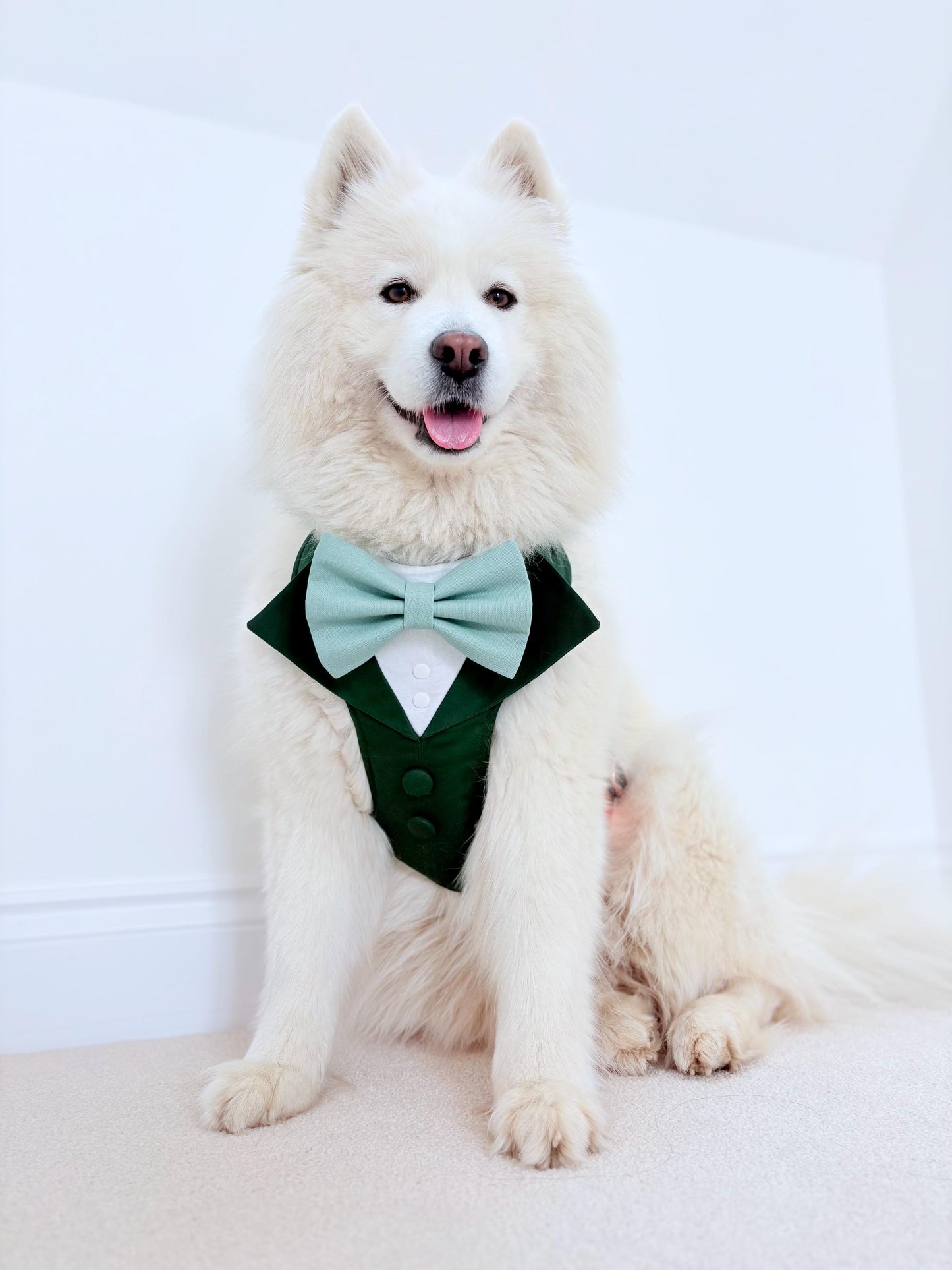 Made-to-Measure Light Blue Wedding Dog Tuxedo Harness: Custom Ring Bearer Outfit for Pets