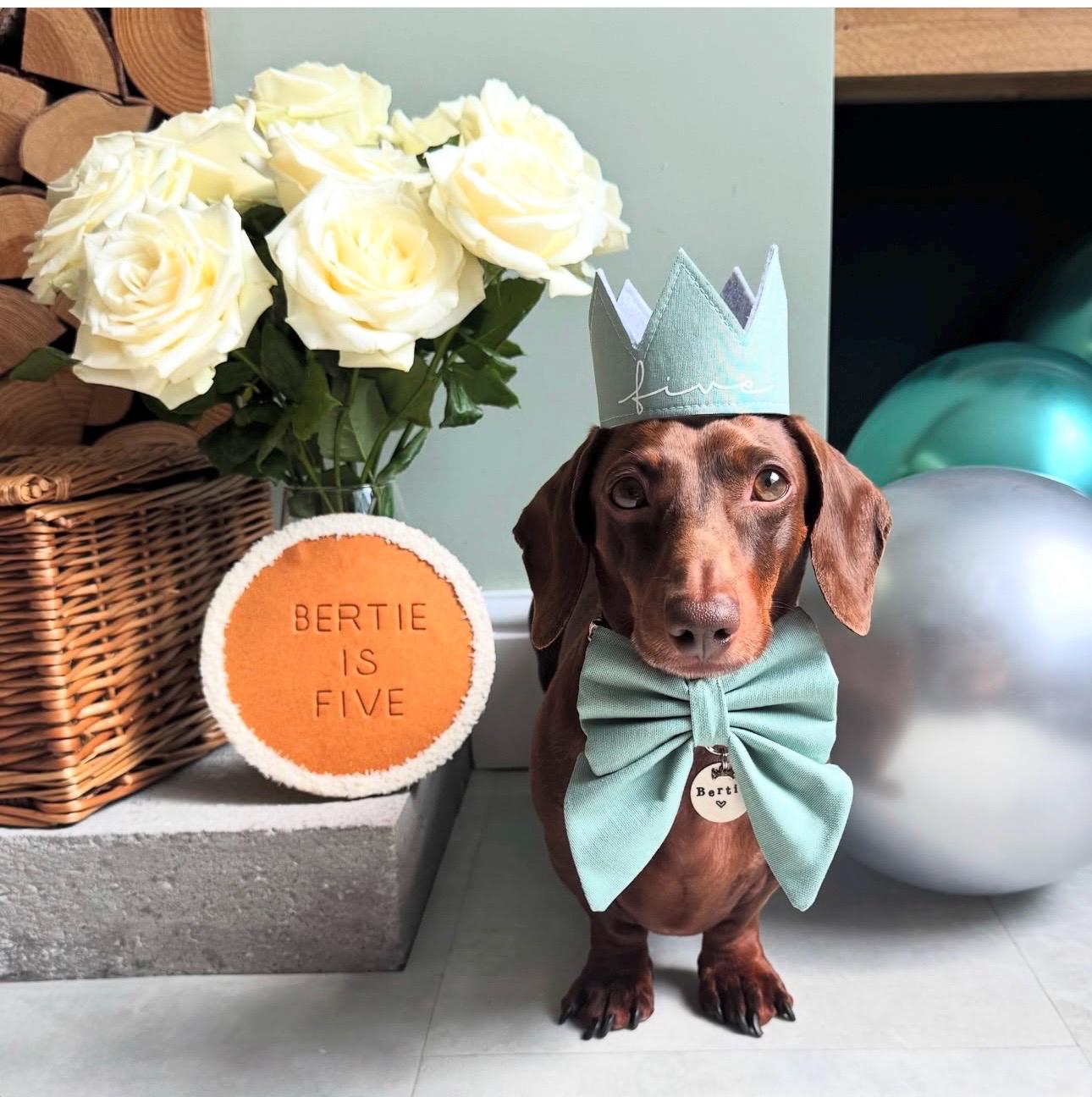 Sage dog bow, available in sailor bow and bow tie, optional with matching sage green dog collar, perfect for wedding and parties