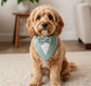 Sage Green Dog Tuxedo Bandana: Wedding Ring Bearer Outfit, Handmade in Norfolk
