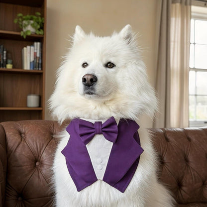 Dark Purple Wedding Dog Tuxedo Bandana: Ring Bearer Outfit, Handmade in Norfolk