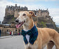 Black Watch Tartan Dog Tuxedo Bandana, Scottish Checks Dog Waistcoat for Clan Campbell