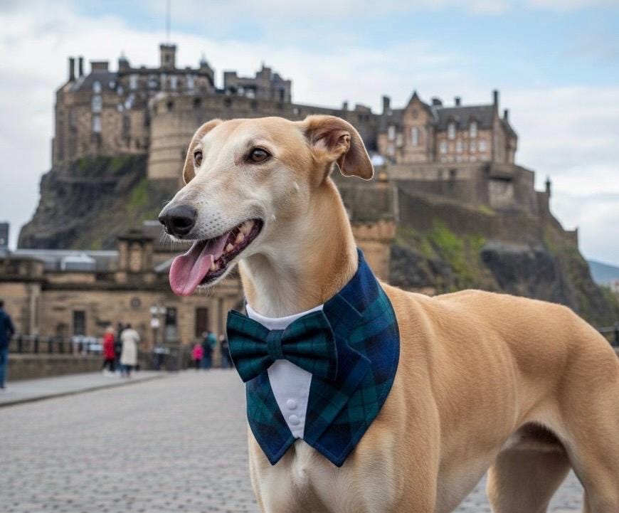 Black Watch Tartan Dog Tuxedo Bandana, Scottish Checks Dog Waistcoat for Clan Campbell