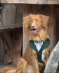 Bespoke Sage Green Wedding Suit for Dogs: Tuxedo Harness