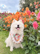 Dahlia Flower Dog Bandana with Ruffles