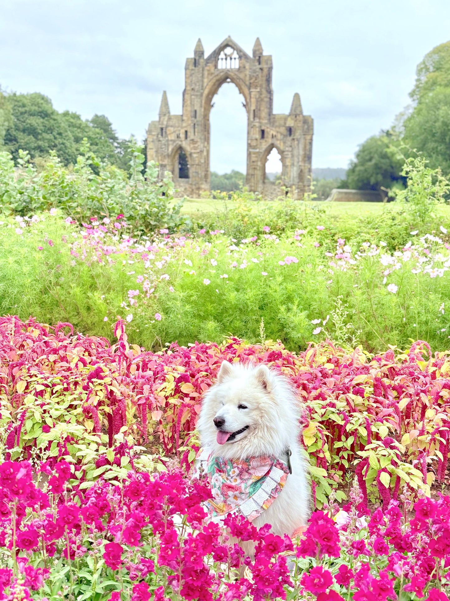 Dahlia Flower Dog Bandana with Ruffles