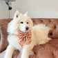 Autumn Pumpkin Patch Dog Bow, Available in Sailor Bow and Bow Tie Style