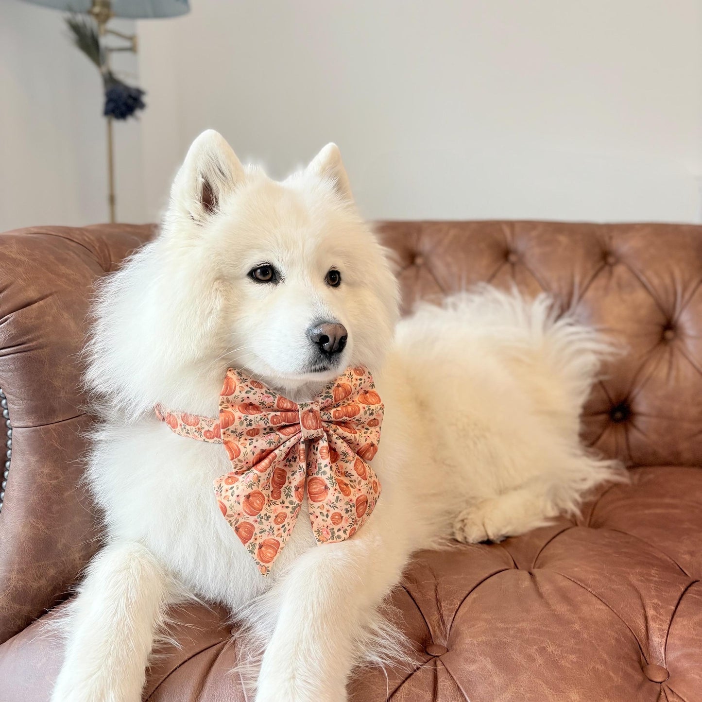 Autumn Pumpkin Patch Dog Bow, Available in Sailor Bow and Bow Tie Style