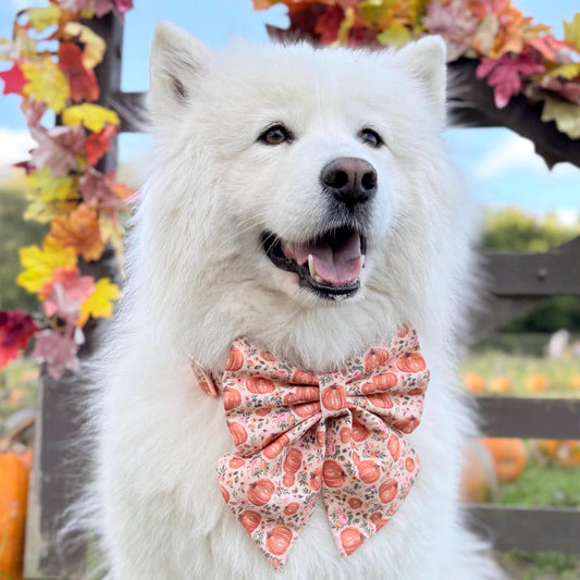 Autumn Pumpkin Patch Dog Bow, Available in Sailor Bow and Bow Tie Style