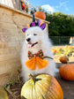 Spooky Halloween Pumpkin Patch Dog Bow Sailor Bow