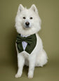 Olive Green Wedding Dog Tuxedo Bandana: Ring Bearer Outfit, Handmade in Norfolk