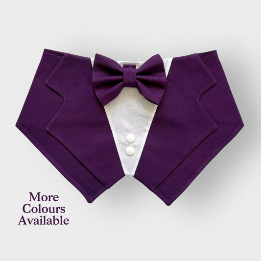 Dark Purple Wedding Dog Tuxedo Bandana: Ring Bearer Outfit, Handmade in Norfolk