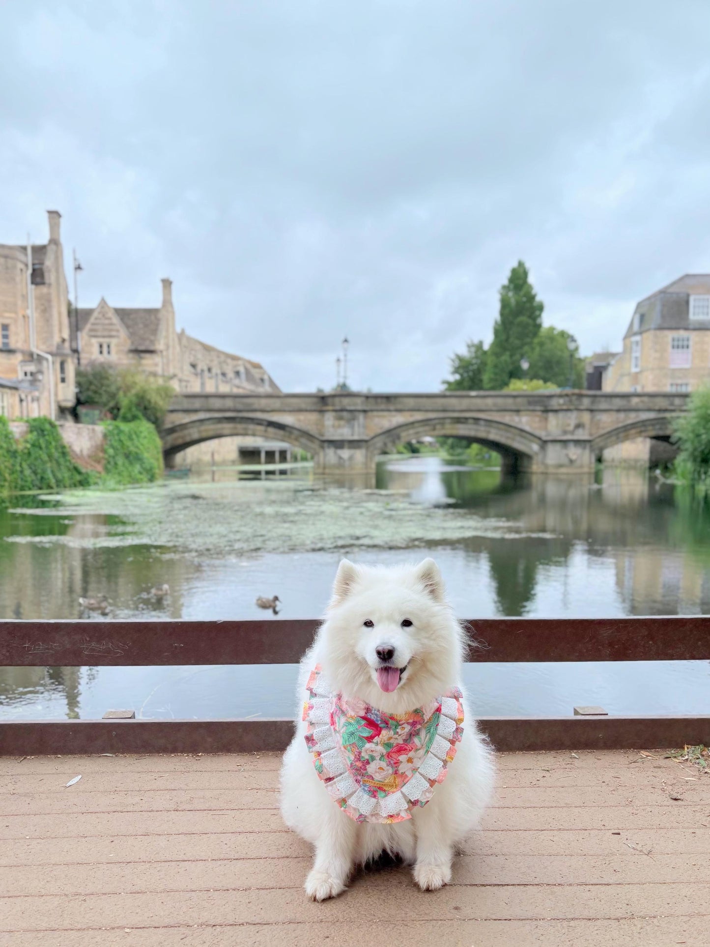 Dahlia Flower Dog Bandana with Ruffles