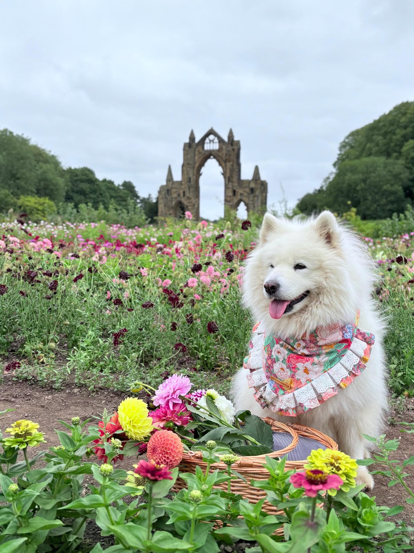 Dahlia Flower Dog Bandana with Ruffles