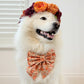 Autumn Pumpkin Patch Dog Bow, Available in Sailor Bow and Bow Tie Style