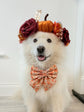 Autumn Pumpkin Patch Dog Bow, Available in Sailor Bow and Bow Tie Style