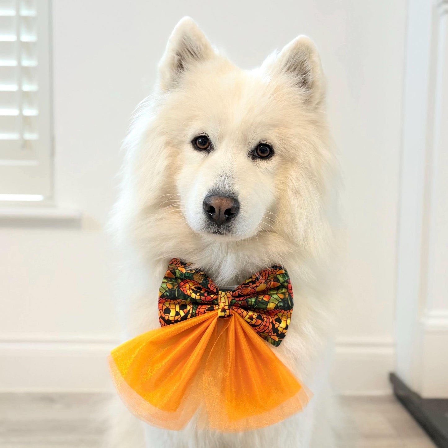 Spooky Halloween Pumpkin Patch Dog Bow Sailor Bow