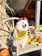 Halloween Jack O’Lantern Pumpkin Dog Bandana with Orange Ruffles
