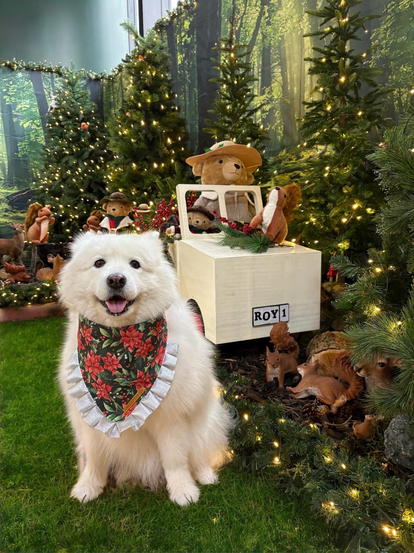 Christmas Poinsettia Dog Bandana with Silver Ruffles