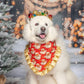Father Christmas Santa Dog Bandana with Gold Ruffles