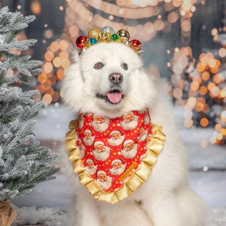Father Christmas Santa Dog Bandana with Gold Ruffles