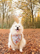 Autumnal Woodland Dog Bandana with squirrels and hares