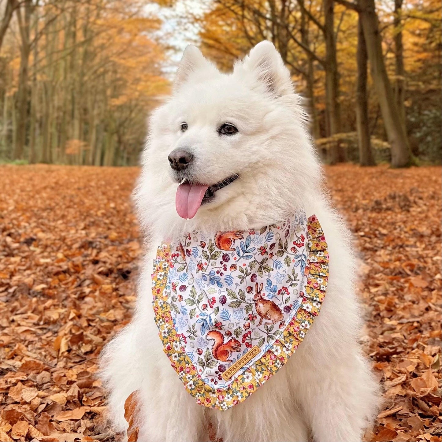 Autumnal Woodland Dog Bandana with squirrels and hares