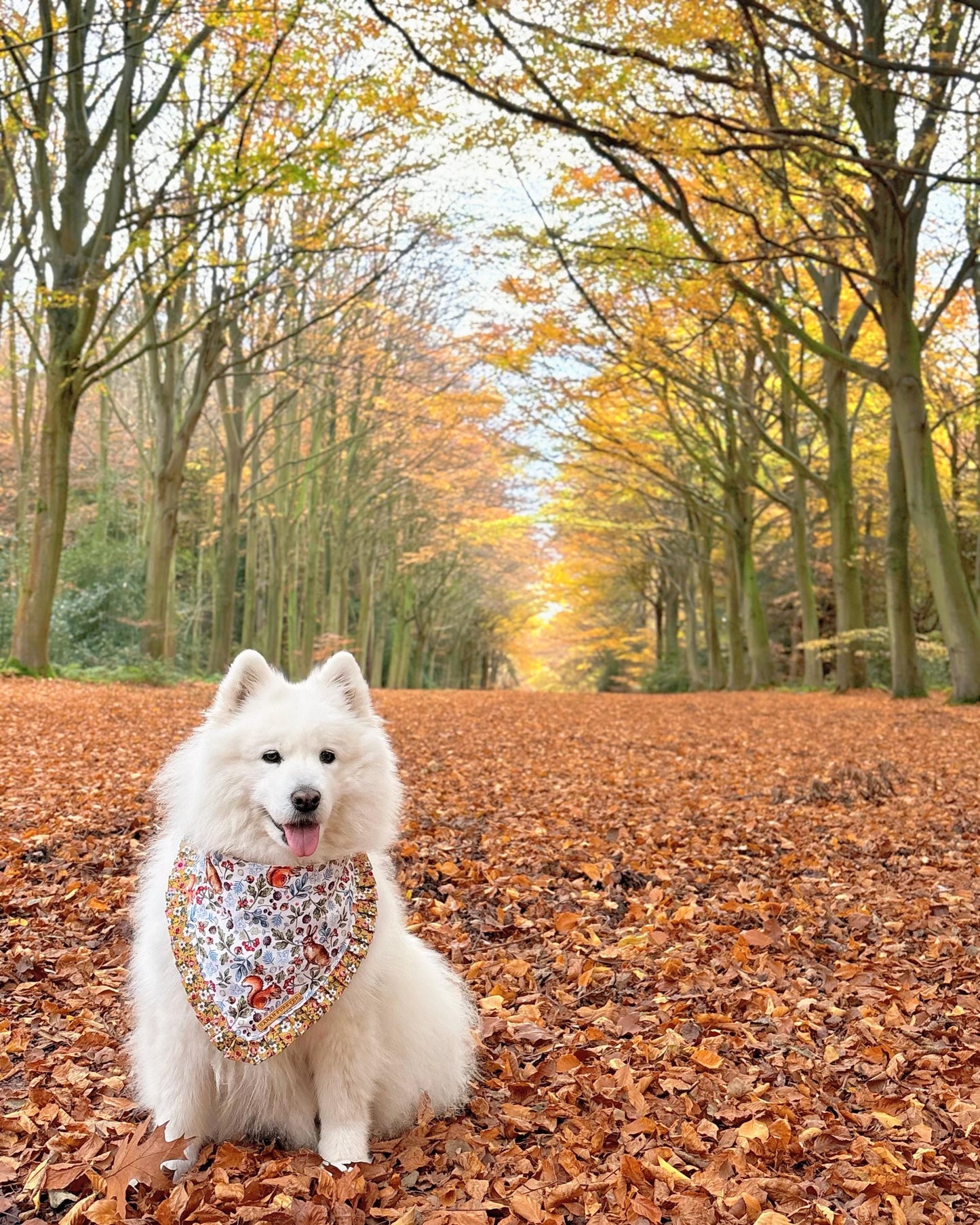 Autumnal Woodland Dog Bandana with squirrels and hares