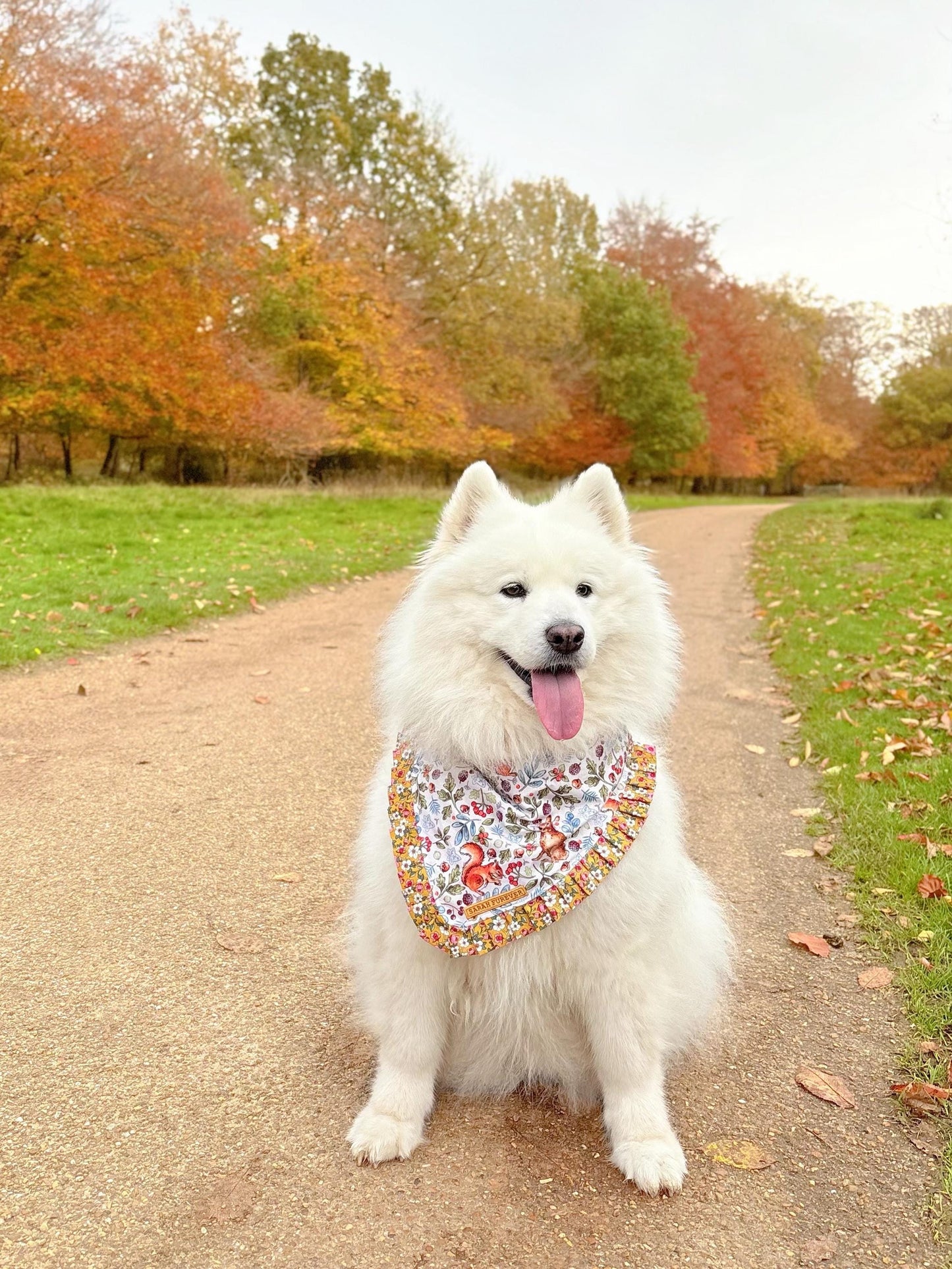 Autumnal Woodland Dog Bandana with squirrels and hares