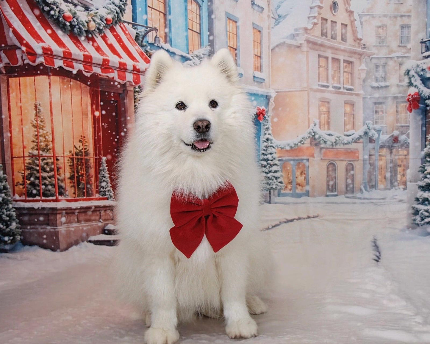 Red Velvet Dog Bow Tie or Sailor Bow - Christmas Dog Gift