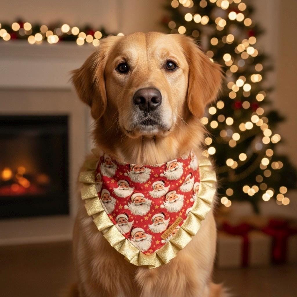 Father Christmas Santa Dog Bandana with Gold Ruffles