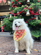 Father Christmas Santa Dog Bandana with Gold Ruffles