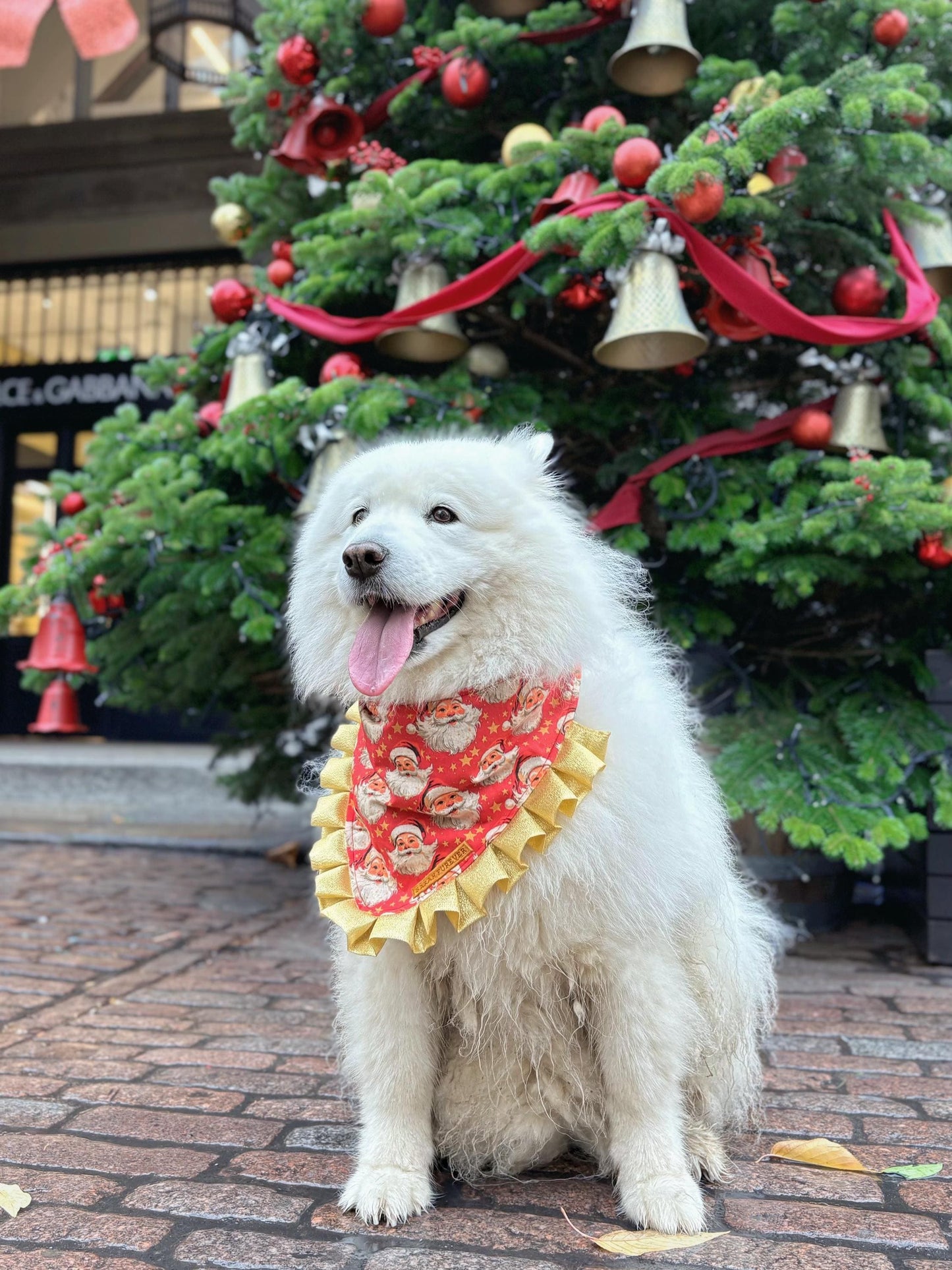 Father Christmas Santa Dog Bandana with Gold Ruffles