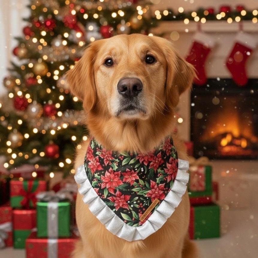 Christmas Poinsettia Dog Bandana with Silver Ruffles