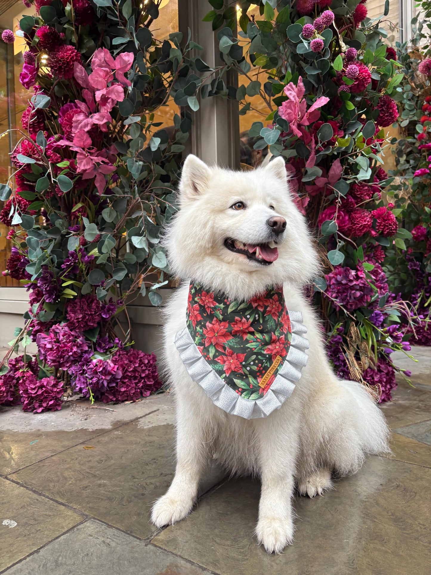 Christmas Poinsettia Dog Bandana with Silver Ruffles