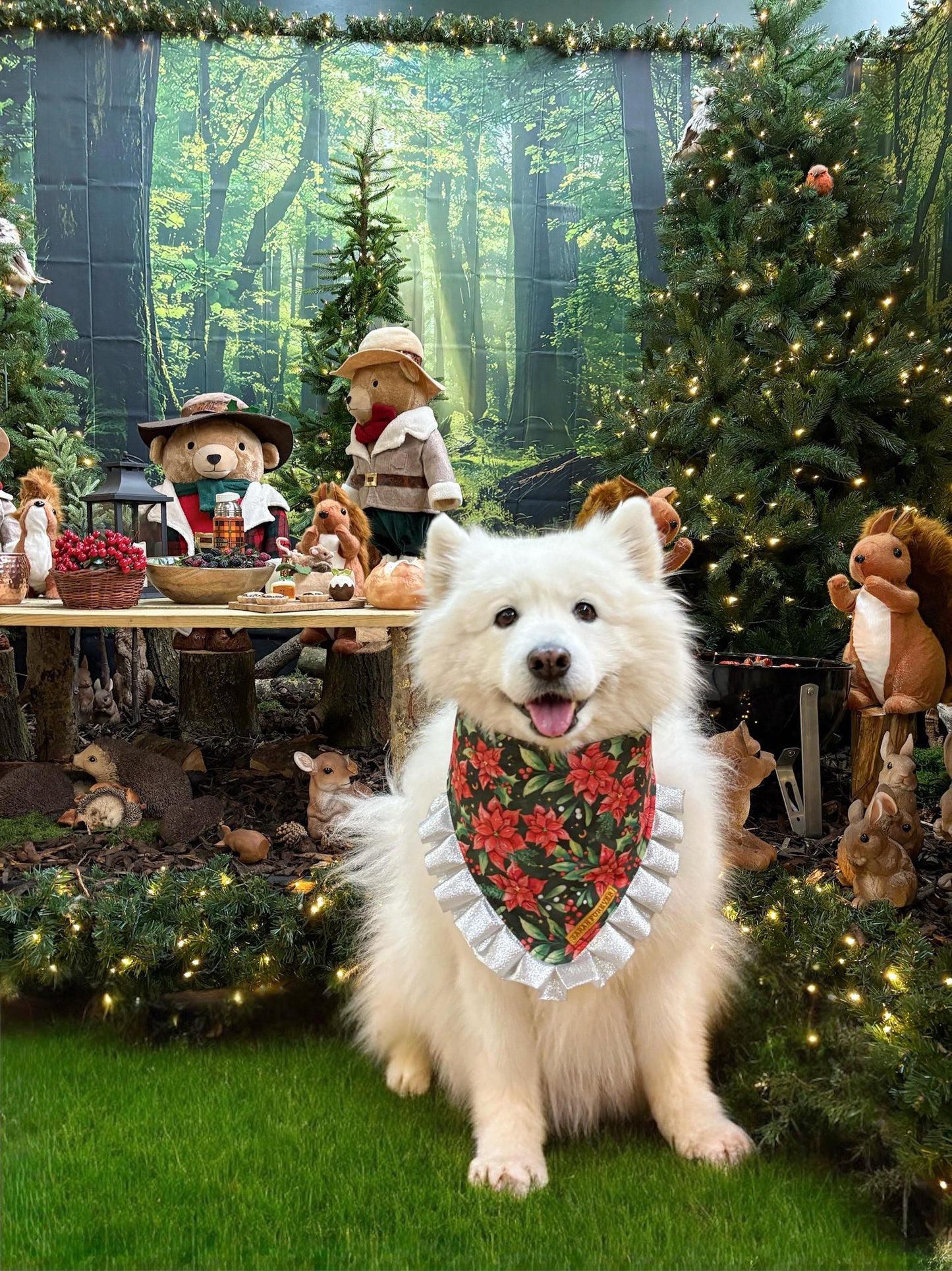 Christmas Poinsettia Dog Bandana with Silver Ruffles